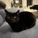 yoshifanfic
