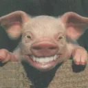 arntje75