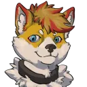 cutedoge