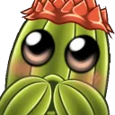 andro_cactus