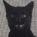 paapuun#3579's avatar