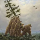 grizzli_denn
