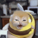 kensukeken's avatar