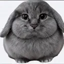 monesmaksimka