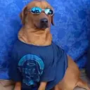 joaozxl