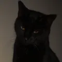 sarevok9