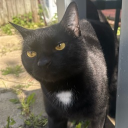 avatar lalalalalalala