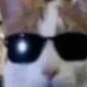 bickleboi1