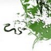 k32ru's Avatar