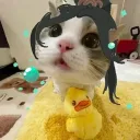 mylittlemeowmeow
