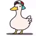 kardzygis