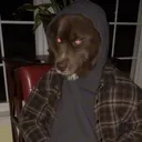 xyved