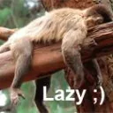 abez_legnum