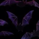 itzfrights