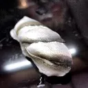 wriggle_bug