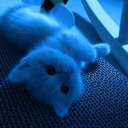 avatar 𝕹𝖔𝖂𝖆𝖆𝖞