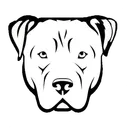 rou_tv