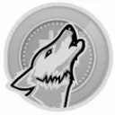 winstonwolfe4931