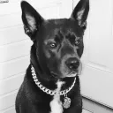 kboww's Avatar