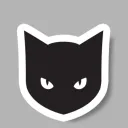 blackcatactual