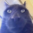 iiTzKetchup