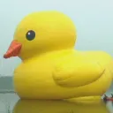 oolimry