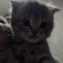 Discord Avatar