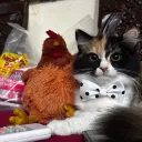 coniize