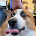 User icon