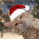 avatar 𝗼 𝗳 𝗳 𝟭 𝘀 𝗵 𝗹