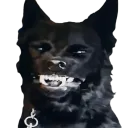 volerio