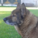 avatar Legend(from)hell