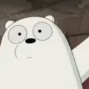 polarq
