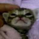 avatar Крайзис