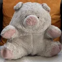 lolivepig