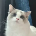 dev_eric