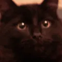 mockbubbles