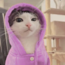 0100152000022000's profile picture