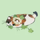 clover8409