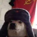 snoop0844