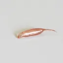 silverfished