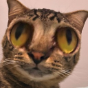 avatar ROUNDERHOUSE.