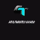 vsheenvyag