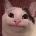 .raneru