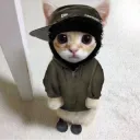 im_joshua_