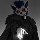 why_270