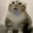 inosenpai
