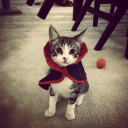 .shazmatazz#2338's avatar