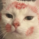 avatar inption ･ ͜ʖ ･