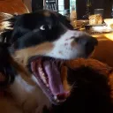cassieoh